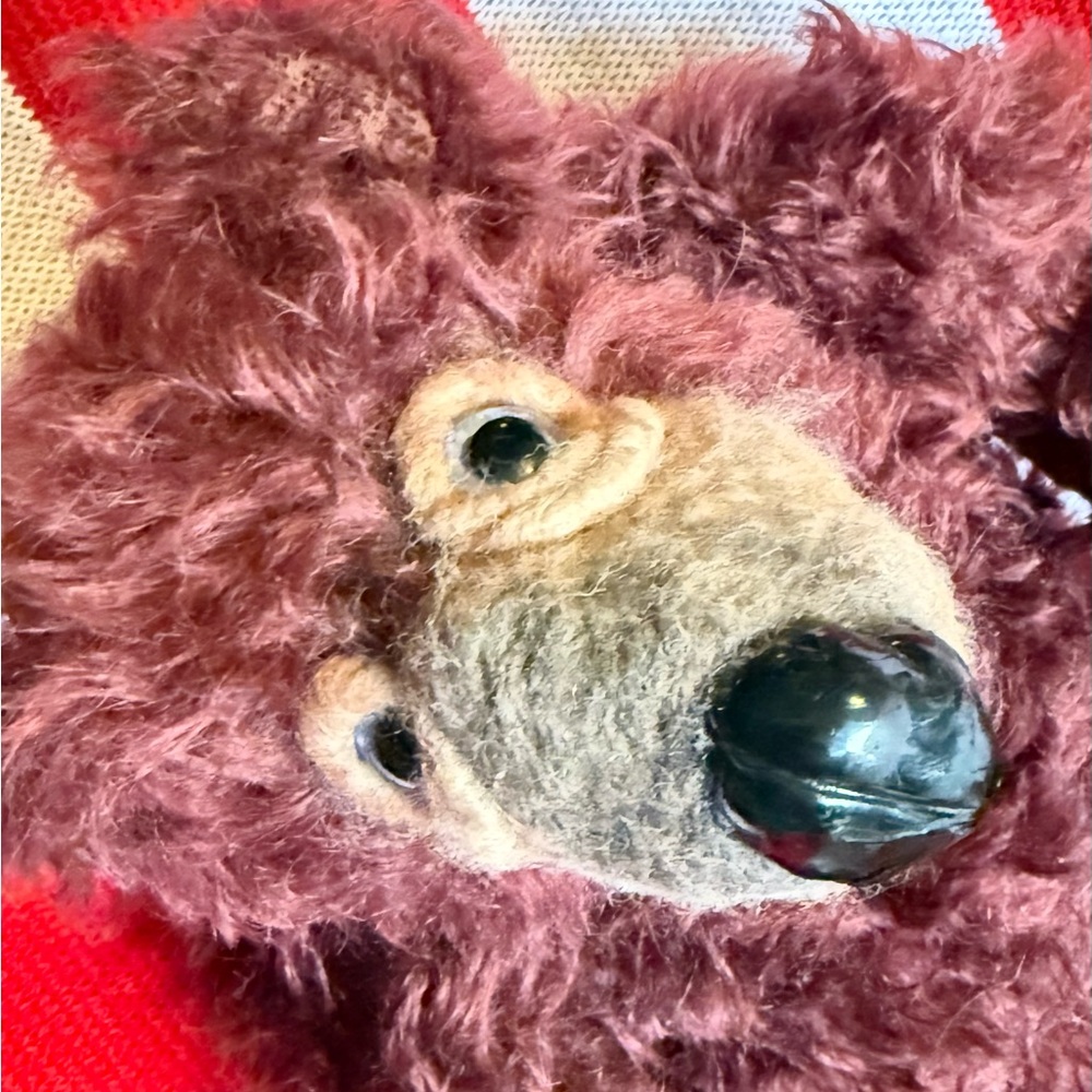 Lemon Wolf Bear - Picture 2 of 6